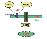 AA2GTM(图1) AA2GTM(图1)