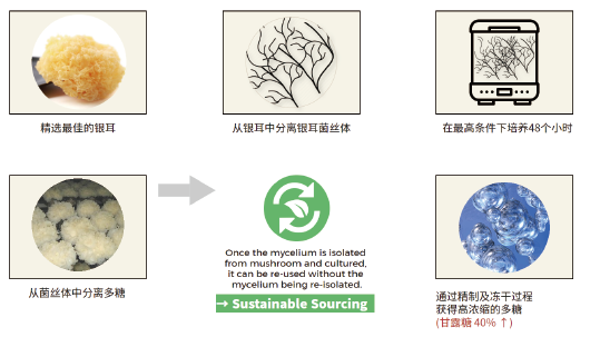银耳菌丝多糖(图1) 银耳菌丝多糖(图1)
