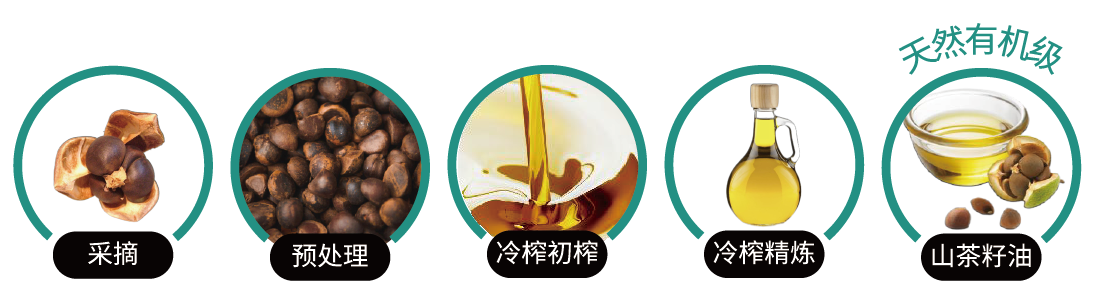 山茶籽油(图1) 山茶籽油(图1)