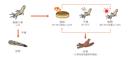 贵妇红参(图1) 贵妇红参(图1)